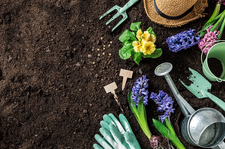 Gardening Blogs UK Top 10 Vuelio