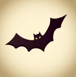 Bat