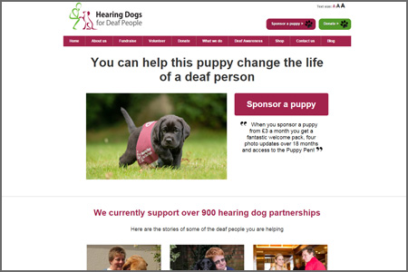 Hearing Dogs