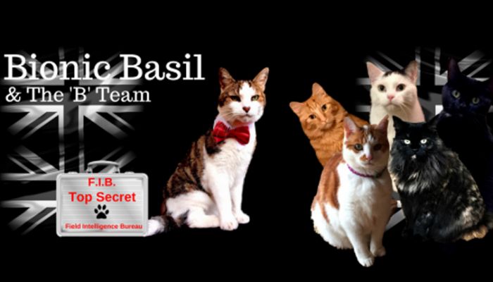 Basil the blog