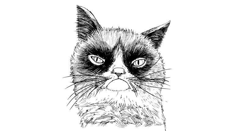 grumpy cat