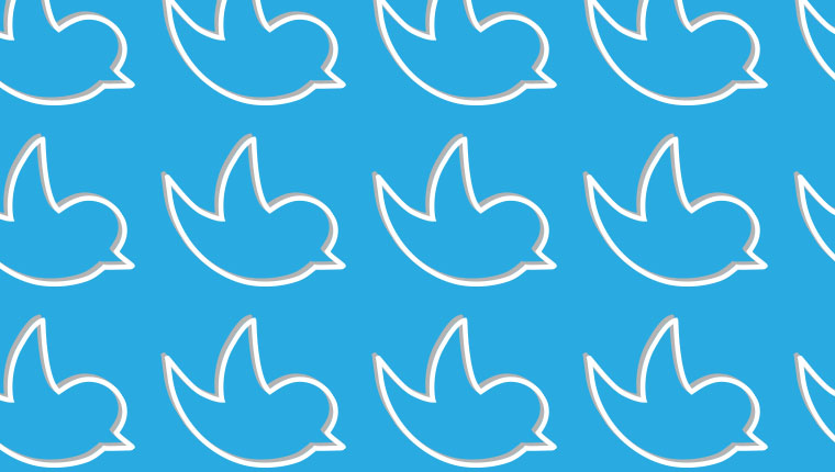 Twitter birds