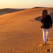 Inside the travel lab