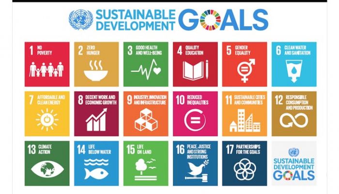 UN sustainable development goals