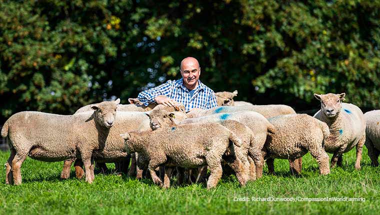 Philip Lymbery and sheep