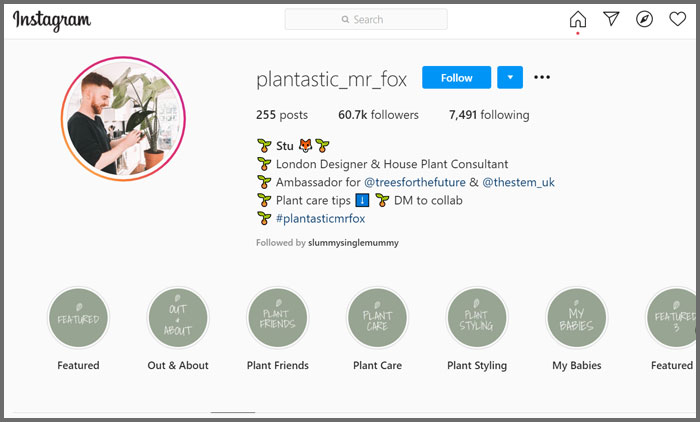 plantastic_mrfox