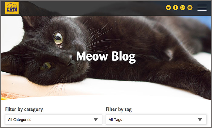 Meow Blog