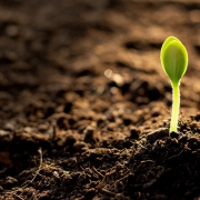 Sustainably managing the soil is crucial to biodiversity