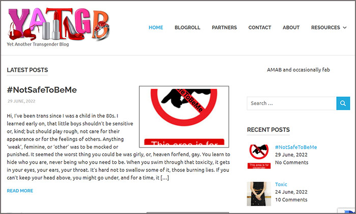 Yet Another Transgender Blog