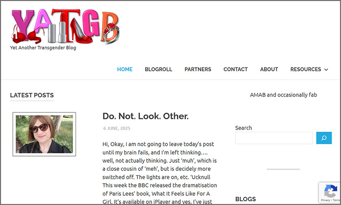 Yet Another Transgender Blog