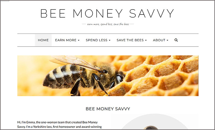 Bee Money Savvy