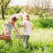 What journalists want March 2026