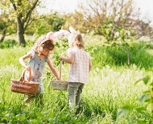 What journalists want March 2026