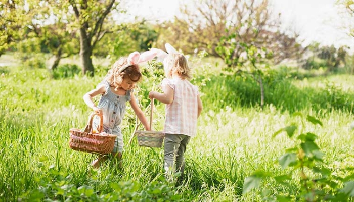 What journalists want March 2026